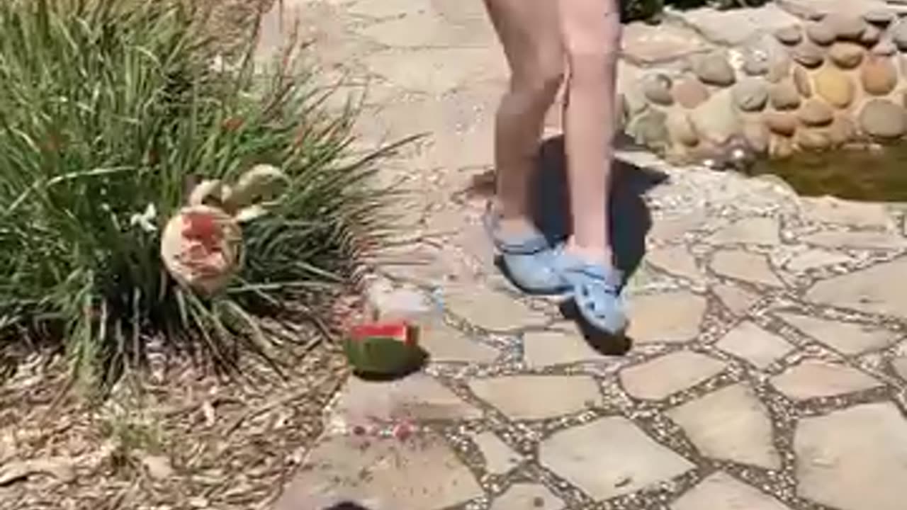 Funny