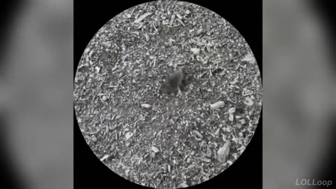 Round 2: These Videos Make Everyone Laugh 😂 (Impossible Edition)