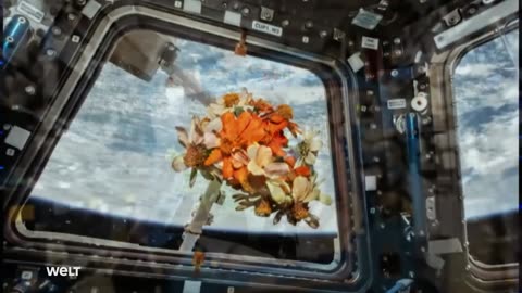 Departure to Mars: Landing, Living & the Search for Life | SPACETIME Full Documentary