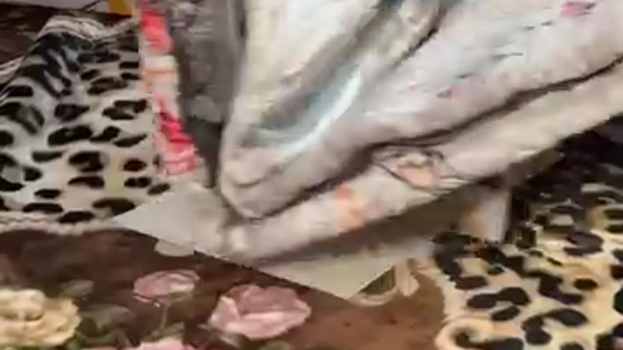 Hidden market imported item peshawer