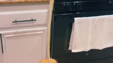 Dog caught stealing spicy food and its reaction is priceless!