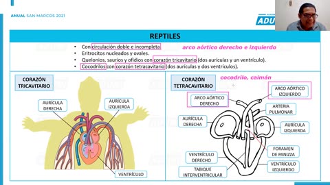ANUAL ADUNI 2021 | Semana 26 | Geografía | Biología