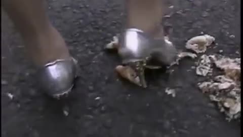 Silver High Heels Crush Fruit