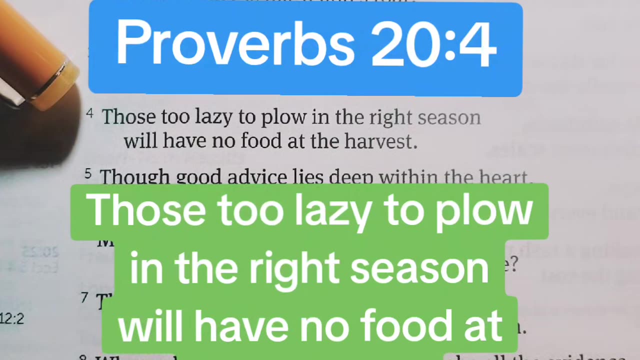 Proverbs 20:4