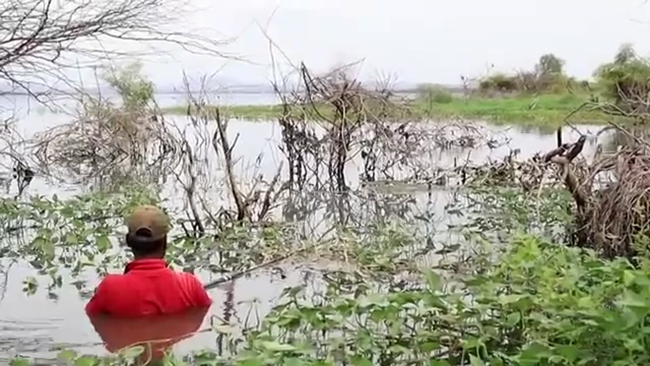Amazing Fishing in River