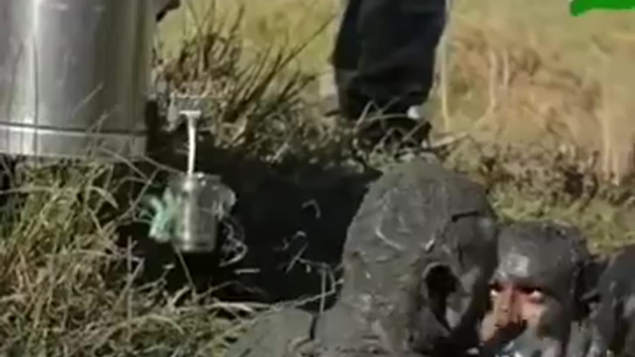 Indian army