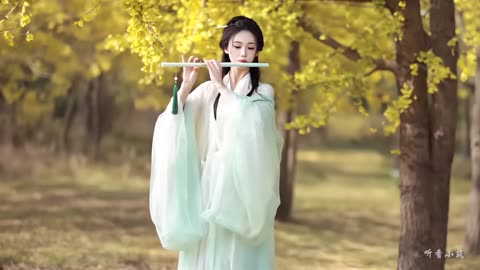 Beautiful Ancient Style Light Music - Relaxing and Relief Sound