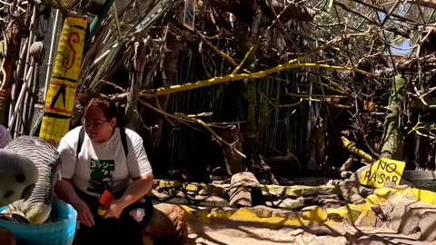 Feeding Birds in La Paz Mexico