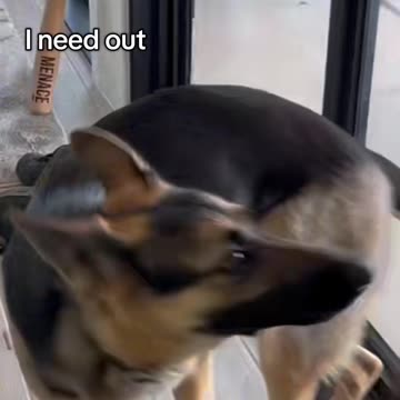 This is an URGENT matter