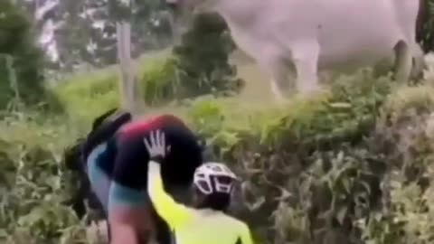 "If you have to do it, do it!"