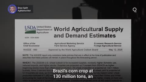 Will Brazil’s Bumper Corn Crop Challenge US Exports? | Presented by CME Group