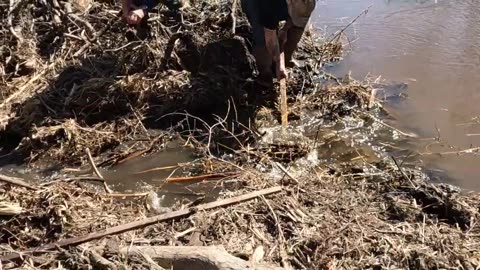 Beaver Trapping With Grandson South Line