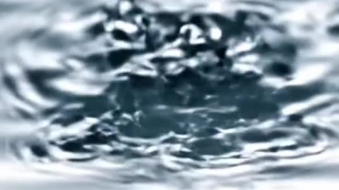 Scripture of the Day