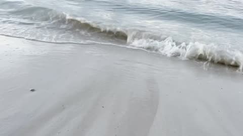 Woman Records "Mermaids" In Chile Moments After Earthquake And Things Get Crazy