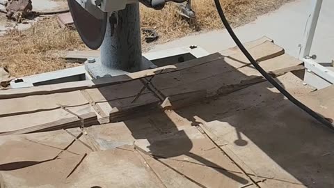 220V Delta Industrial Radial Arm Saw