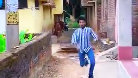 Funny videos