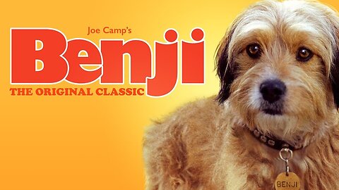 Benji: The Scrappy Street Dog Who Became a Hero – Full Classic Family Movie