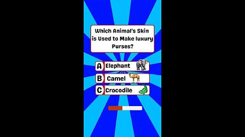 Animal’s Quiz