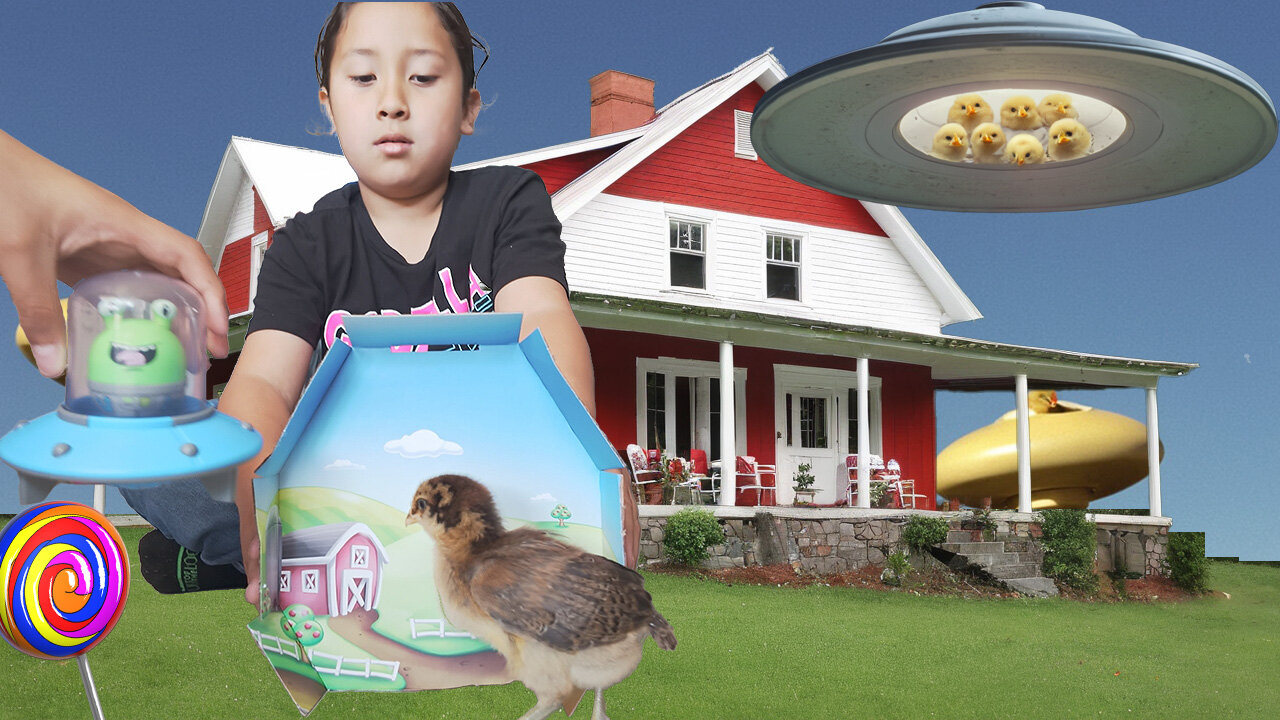 How our baby chickens reacted to alien invader