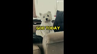 Pray from a pup