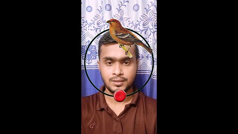 এই পাখিটি জোড়া লাগান ৪৩ #shorts #viral #puzzle