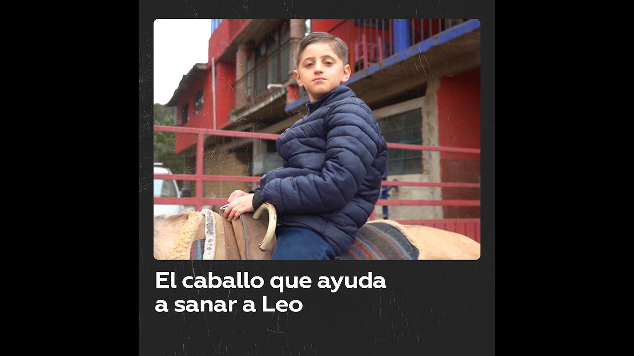 Poder terapéutico que vincula a Leo con su caballo