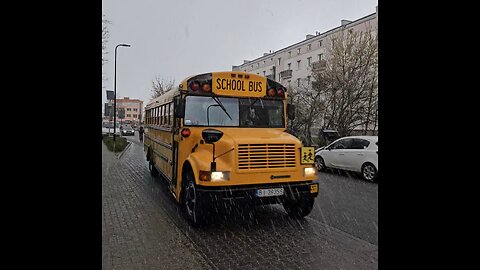 School Bus, marki Thomas International