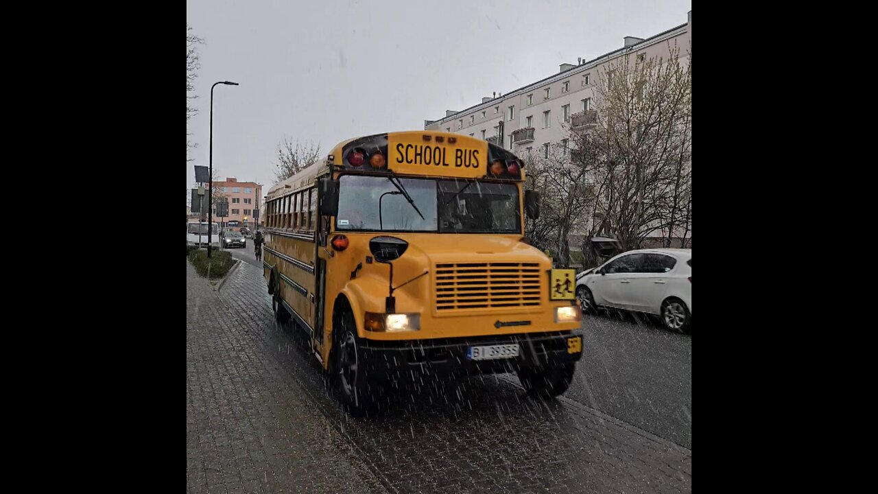 School Bus, marki Thomas International