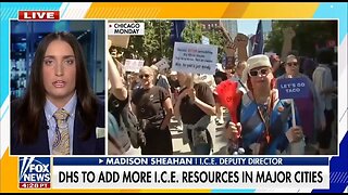ICE Deputy Director: Dem Run Cities Need ICE The Most
