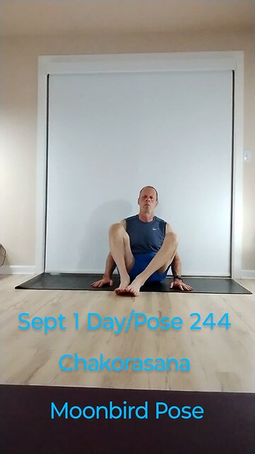 Chakorasana / Moonbird Pose