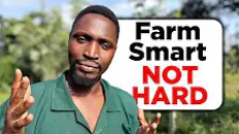 How_I_Beat_99__of_Farmers_in_Just_5_Years