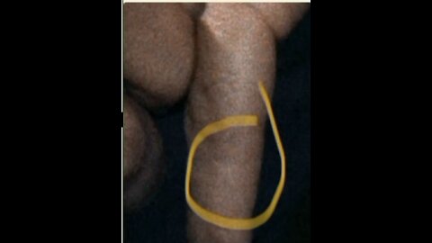 KENNEDY, TRUMP, AND TIFFANY BLUE, The Atlantis King | Amos 5:8