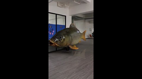Carp Fishing In A Shopping Mall😱😱