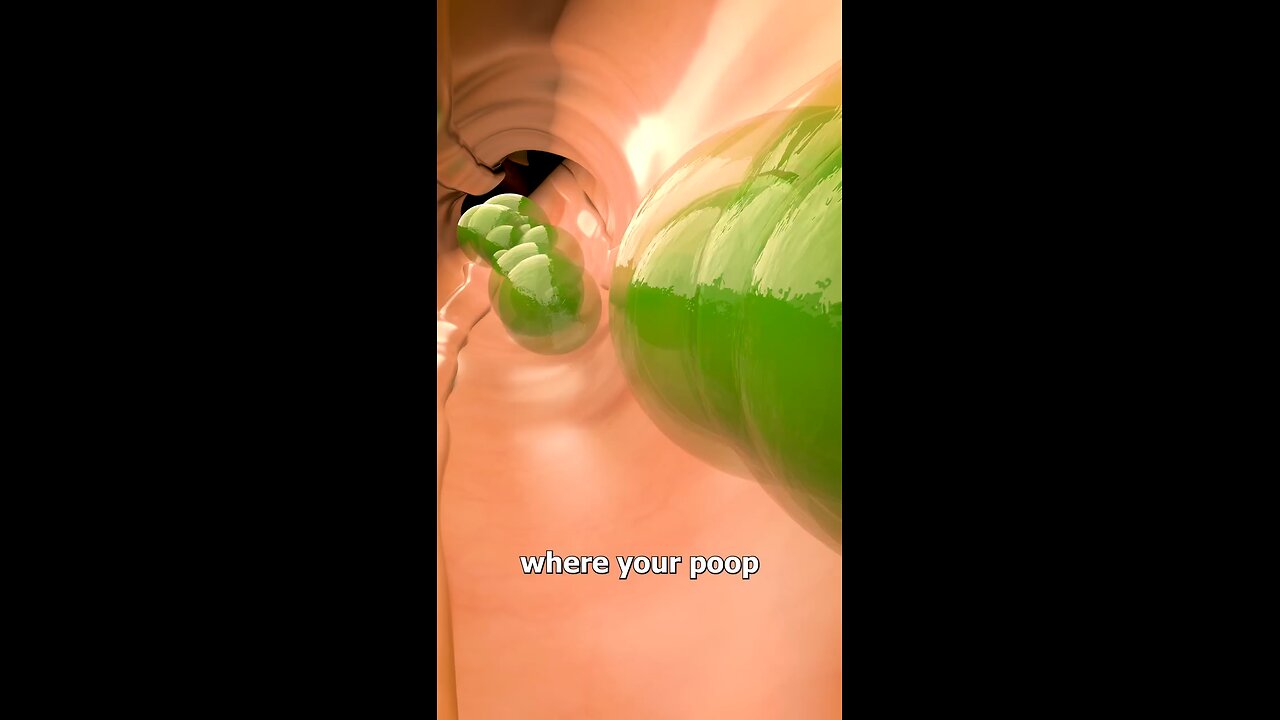 How Farts Get Around Poops 😂