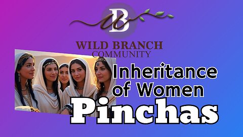 Pinchas - Inheritance of Women