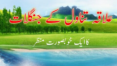 ilakata novel ke junglaat