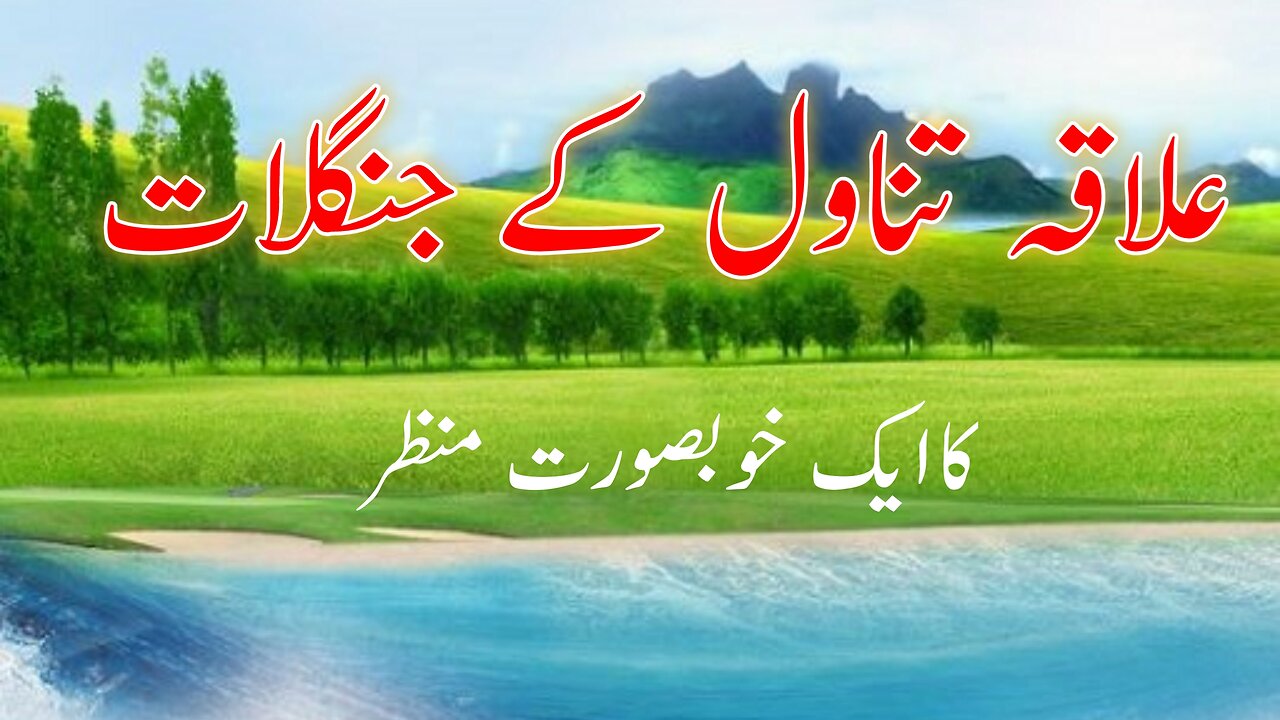 ilakata novel ke junglaat