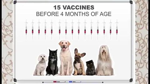 Animal Vaccines HARM Cats & Dogs - 10 Minute Version