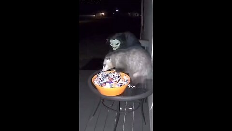 The sweet eater