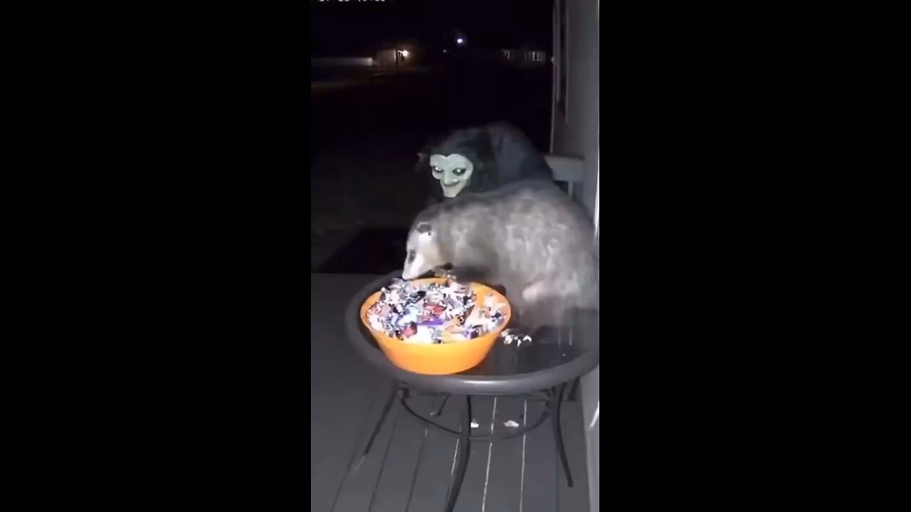 The sweet eater