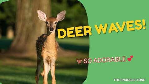 Baby Deer Waving at the Camera 🦌👋 | Adorable Nature Moment
