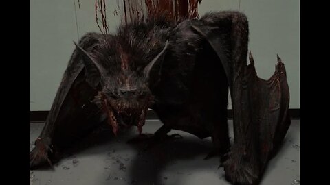 Iquique giant bat