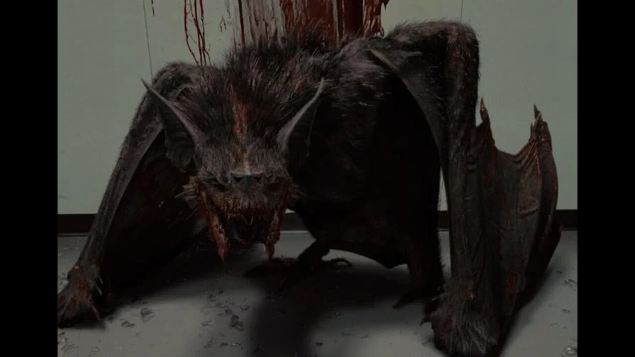 Iquique giant bat
