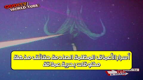 مخلوقات بحرية عملاقة: أسرار الأعماق المظلمة الصادمة حقائق مذهلة #حيوانات_بحرية #غموض #اكتشاف