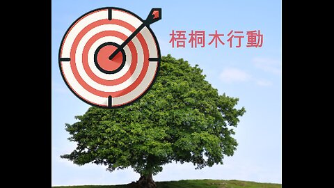 小丑局啲梧桐木行動 5年打7個國家