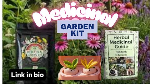 Stop Wasting Money on Medicines – Grow These 10 Herbs Instead!