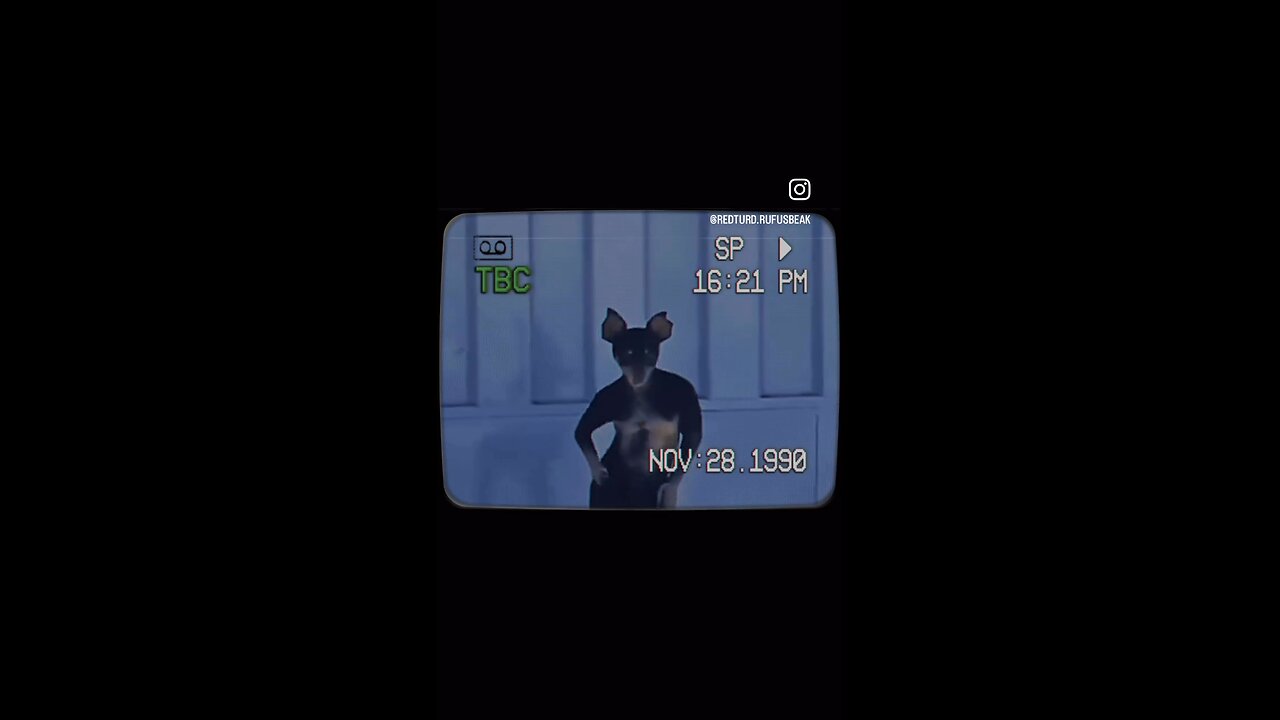 This Is What Your Pets Do When You Leave! 🐾😂 Adorable & Hilarious!