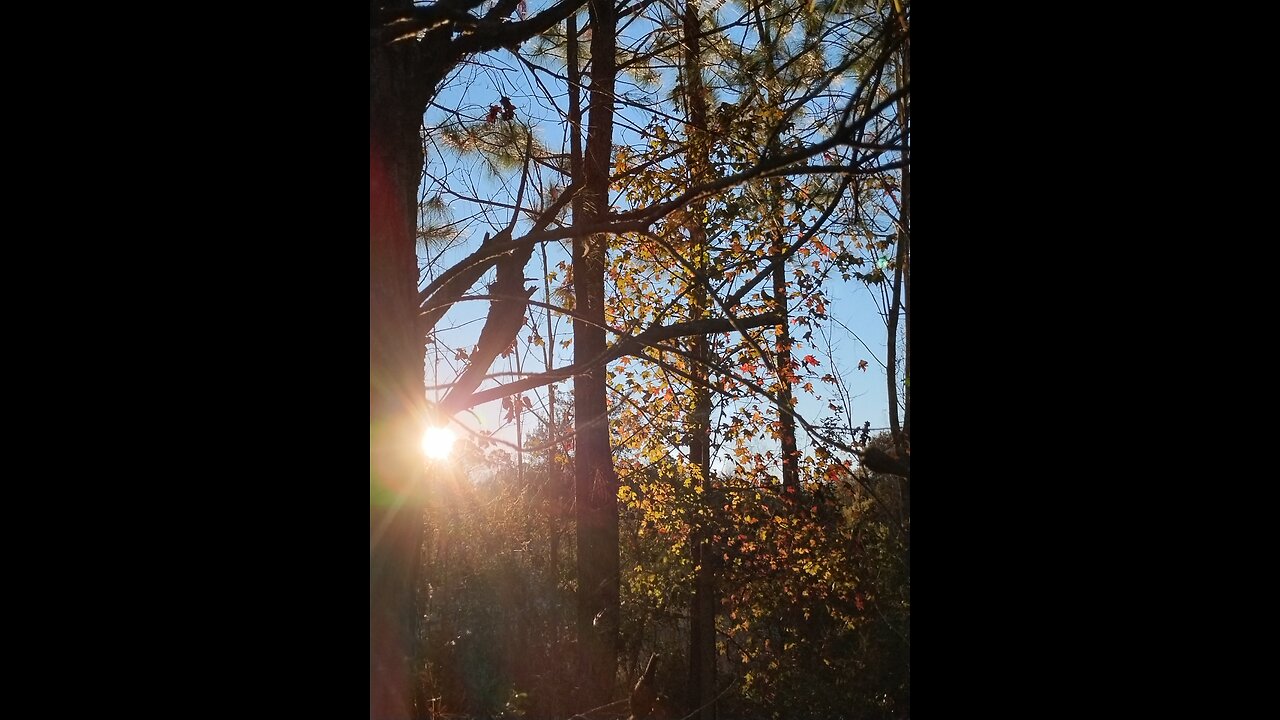 Schubert - Moment musical As Dur