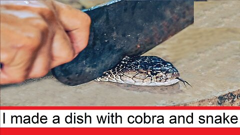 I made a very tasty dish from a cobra and a snake