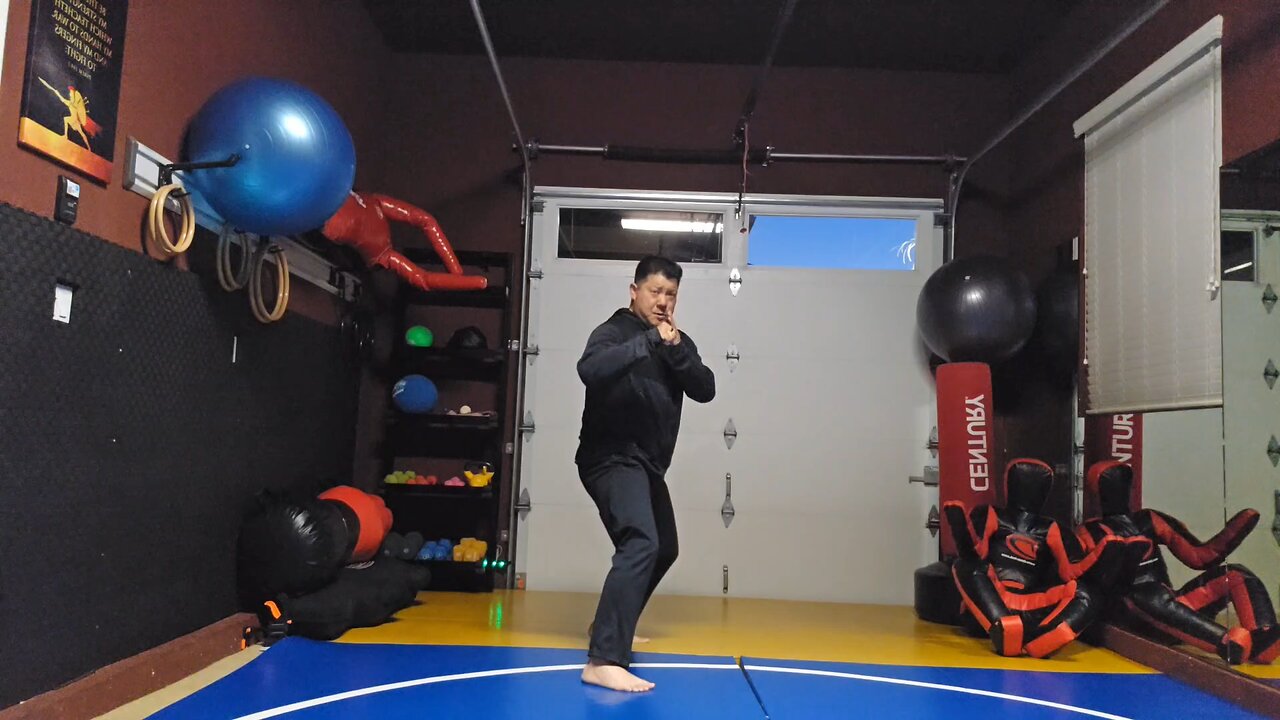WTD Lotus Kick to Hook Kick sequential